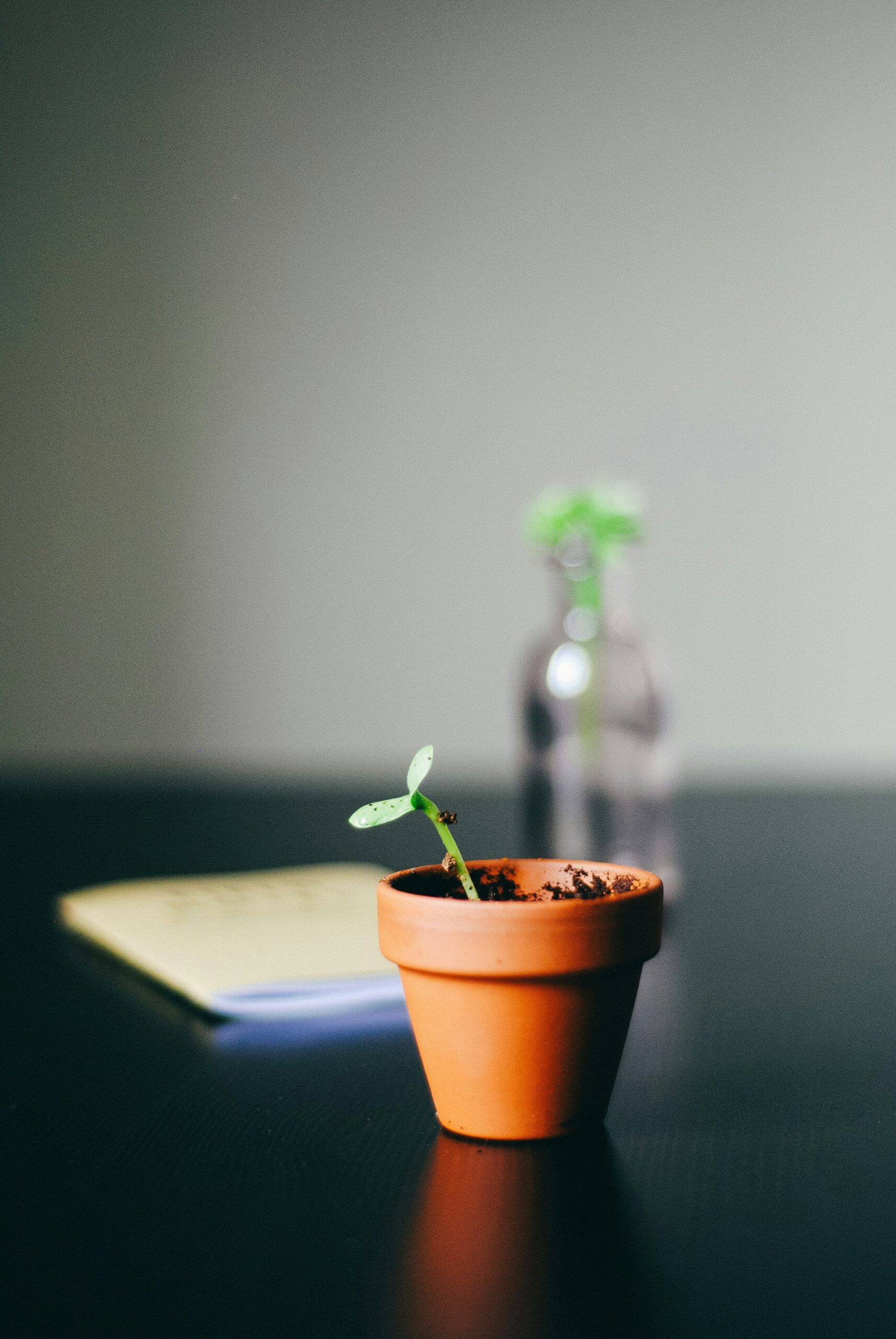 Hello World Featured Image